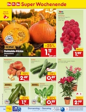 Kohle im Netto Marken-Discount Prospekt in Hamm Aktueller Netto Marken-Discount Prospekt mit Kohle, "Aktuelle Angebote", Seite 48