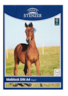 Malblock A4 bei Woolworth im Penzberg Prospekt für 2,50 €