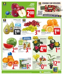 EDEKA Äpfel im Prospekt 