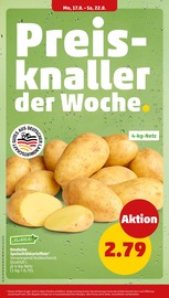Flammkuchen im Penny Prospekt in Bünde Aktueller Penny Prospekt mit Flammkuchen, "Wer günstig will, muss Penny.", Seite 8
