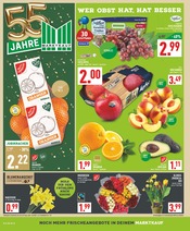 Pflanzen im Marktkauf Prospekt in Wuppertal Aktueller Marktkauf Prospekt mit Pflanzen, "Aktuelle Angebote", Seite 2