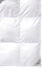 Kopfkissen Angebote von Canada bei AWG Bensheim für 69,99 €