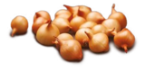Rural Master Guichainville - Promo Oignons Stuttgarter 500 g Promo Oignons Stuttgarter 500 g à 2,70 € dans le catalogue Rural Master à Guichainville