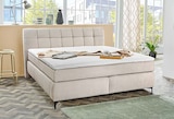 Boxspringbett Gitta bei SB Möbel Boss im Prospekt "" für 699,99 €