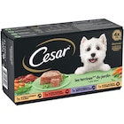Barquettes pour chien - CESAR à 3,89 € dans le catalogue Carrefour