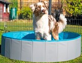 Hundepool im Penny Prospekt Hundepool von Zooroyal im aktuellen Penny Prospekt für 8,00 €