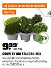 Stauden-Mix Angebote von Grow by Obi bei OBI Menden für 9,99 €