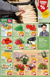 Balkonpflanzen im REWE Prospekt in Willich Aktueller REWE Prospekt mit Balkonpflanzen, "Dein Markt", Seite 7