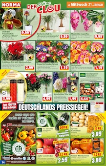 Feuerwerk im Norma Prospekt "Mehr fürs Geld" mit 20 Seiten (Amberg)