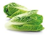 Aktuelle Gemüse Angebote bei REWE in Herne Aktuelles Bio Romana Salatherzen Angebot bei REWE in Herne ab 1,49 €