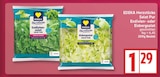 EDEKA Schulzendorf - Endiviensalat Salat Pur Angebot im Prospekt Endiviensalat Salat Pur bei EDEKA im Schulzendorf Prospekt für 1,29 €