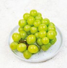 Trauben Autumn Criso im aktuellen Netto mit dem Scottie Prospekt