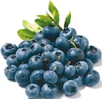 Heidelbeeren für 2,45 € bei Netto mit dem Scottie im Angebot Heidelbeeren im aktuellen Netto mit dem Scottie Prospekt