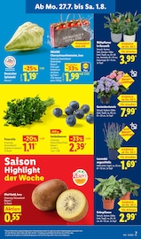 Aktueller Lidl Prospekt mit Deko, "LIDL LOHNT SICH", Seite 3