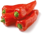 Aktuelle Paprika Angebote bei Netto mit dem Scottie in Berlin Aktuelles Spitzpaprika rot Angebot bei Netto mit dem Scottie in Berlin ab 1,49 €
