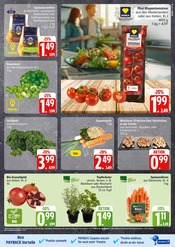 Tomaten im EDEKA Prospekt in Seevetal Aktueller EDEKA Prospekt mit Tomaten, "Top Angebote", Seite 5