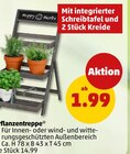 Aktuelle Pflanzen Angebote bei Penny in Würzburg Aktuelles Pflanzentreppe Angebot bei Penny in Würzburg ab 1,99 €