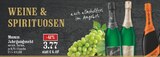 Jahrgangssekt im Angebot bei EDEKA in Hilden Jahrgangssekt Angebote von Mumm bei EDEKA Hilden für 3,77 €