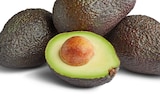 Penny - Bio-Avocado Angebot im Prospekt Bio-Avocado bei Penny im Prospekt "" für 1,11 €