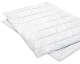 Aktuelles Sommerbett Sport Line Angebot bei Möbel Martin in Mainz ab 89,95 €