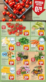 Mais im REWE Prospekt "Dein Markt" mit 32 Seiten (Nürnberg)