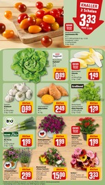 Bio im REWE Prospekt in Dreieich Aktueller REWE Prospekt mit Bio, "Dein Markt", Seite 7
