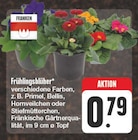 EDEKA Hofheim (Unterfranken) Prospekt mit  im Angebot für 0,79 €