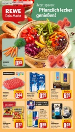 REWE Discounter Prospekt der aktuellen Woche mit 26 Seiten, gültig von 24.08.2026 bis 29.08.2026, in Erwitte und Umgebung Aktueller REWE Discounter Prospekt in Erwitte und Umgebung, "Dein Markt" mit 26 Seiten, 24.08.2026 - 29.08.2026