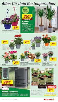 Blumentopf im toom Baumarkt Prospekt "Respekt, wer's selber macht." mit 28 Seiten (Essen)