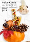 Deko-Kürbis Angebote bei TEDi Rosenheim für 3,00 €