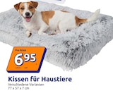 Kissen für Haustiere im Angebot bei Action in Wetzlar Kissen für Haustiere Angebote bei Action Wetzlar für 6,95 €