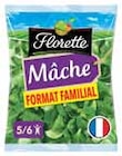 Intermarché Jurançon - Promo Mâche format familial Promo Mâche format familial à 0,63 € dans le catalogue Intermarché à Jurançon