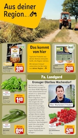 Ähnliche Spreewaldgurken Angebote im Prospekt "Dein Markt" von REWE in Duisburg Ähnliche Angebote wie Spreewaldgurken im Prospekt "Dein Markt" auf Seite 26 von REWE in Duisburg