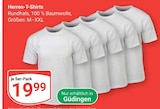 Herren-T-Shirts im Angebot bei GLOBUS in Trier Herren-T-Shirts Angebote bei GLOBUS Trier für 19,99 €