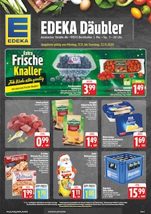 Aktueller EDEKA Prospekt "Wir lieben Lebensmittel!" Aktueller EDEKA Prospekt