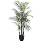 Kunstpflanze Deko-Palme Angebote bei POCO Dorsten für 49,99 €