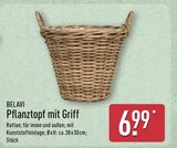 Pflanztopf mit Griff von Belavi im aktuellen ALDI Nord Prospekt