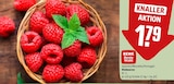 Himbeeren im Angebot bei REWE in Stade Himbeeren Angebote von REWE Beste Wahl bei REWE Stade für 1,79 €
