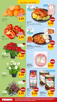 Staubsauger Angebot im Penny Prospekt, gültig von 10.11.2025 bis 16.11.2025 Staubsauger Angebot im aktuellen Penny Prospekt auf Seite 34