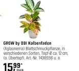 OBI Heidelberg - Kolbenfaden Angebot im Prospekt Kolbenfaden bei OBI im Heidelberg Prospekt für 15,99 €