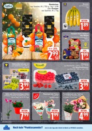 EDEKA Gartenmöbel im Prospekt EDEKA Gartenmöbel im Prospekt