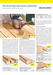 Terrassendielen Angebot im aktuellen Holz Possling Prospekt auf Seite 2