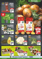 Aktueller EDEKA Prospekt mit Blumen, "Wir lieben Lebensmittel!", Seite 9