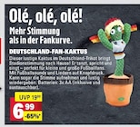 Deutschland-Fan-Kaktus bei E center im Prospekt "" für 6,99 €