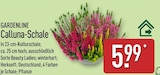 Calluna-Schale bei ALDI Nord im Zittau Prospekt für 5,99 €