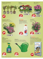 Aktueller V-Markt Prospekt mit Blumenerde, "V-Markt einfach besser einkaufen", Seite 20