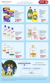 Aktueller Rossmann Prospekt mit Head and Shoulders, "Online Exklusive Angebote", Seite 9