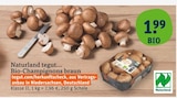 Bio-Champignons braun im Angebot bei tegut in Wiesbaden Bio-Champignons braun Angebote von Naturland tegut bei tegut Wiesbaden für 1,99 €