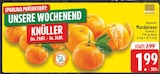 EDEKA Paderborn Prospekt mit  im Angebot für 1,99 €