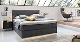 Boxspringbett Felina Fly bei hofmeister im Esslingen Prospekt für 2.898,00 €